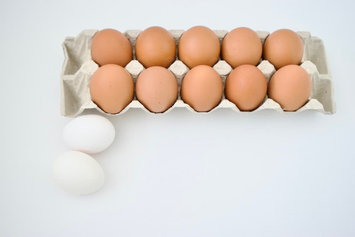 Eggs